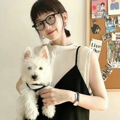 屋顶上的猫